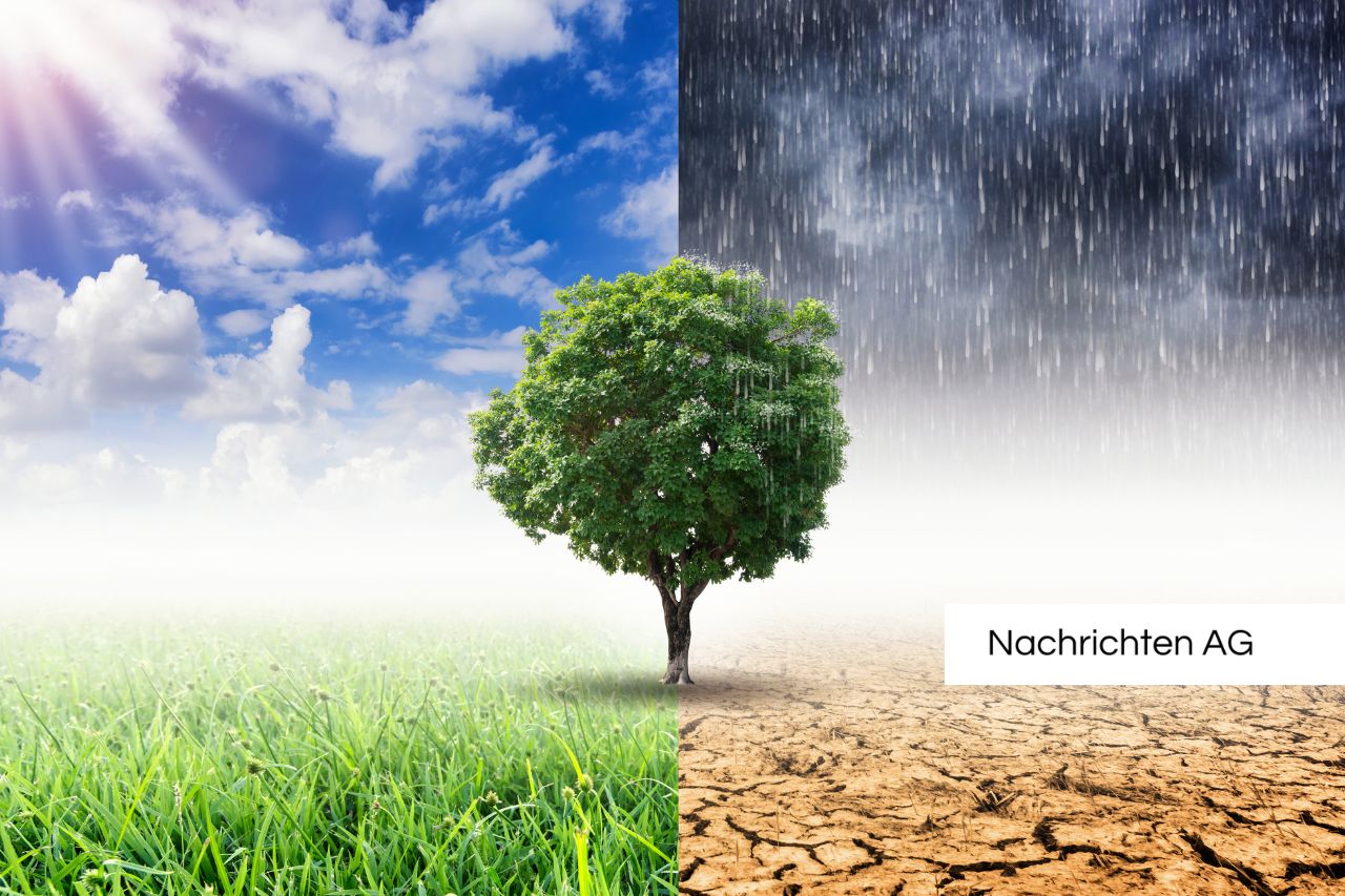 Niederlande und Argentinien: Gemeinsam für nachhaltige Landwirtschaft!