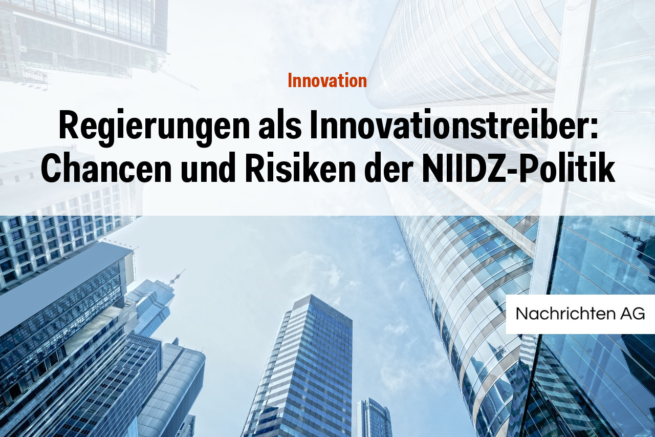 Regierungen als Innovationstreiber: Chancen und Risiken der NIIDZ-Politik